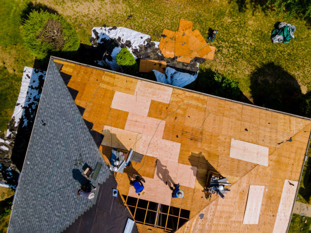 Best Storm Damage Roof Repair  in Marshalltown, IA